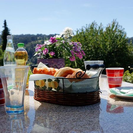 Ferienappartement Donautal Obernzell ภายนอก รูปภาพ